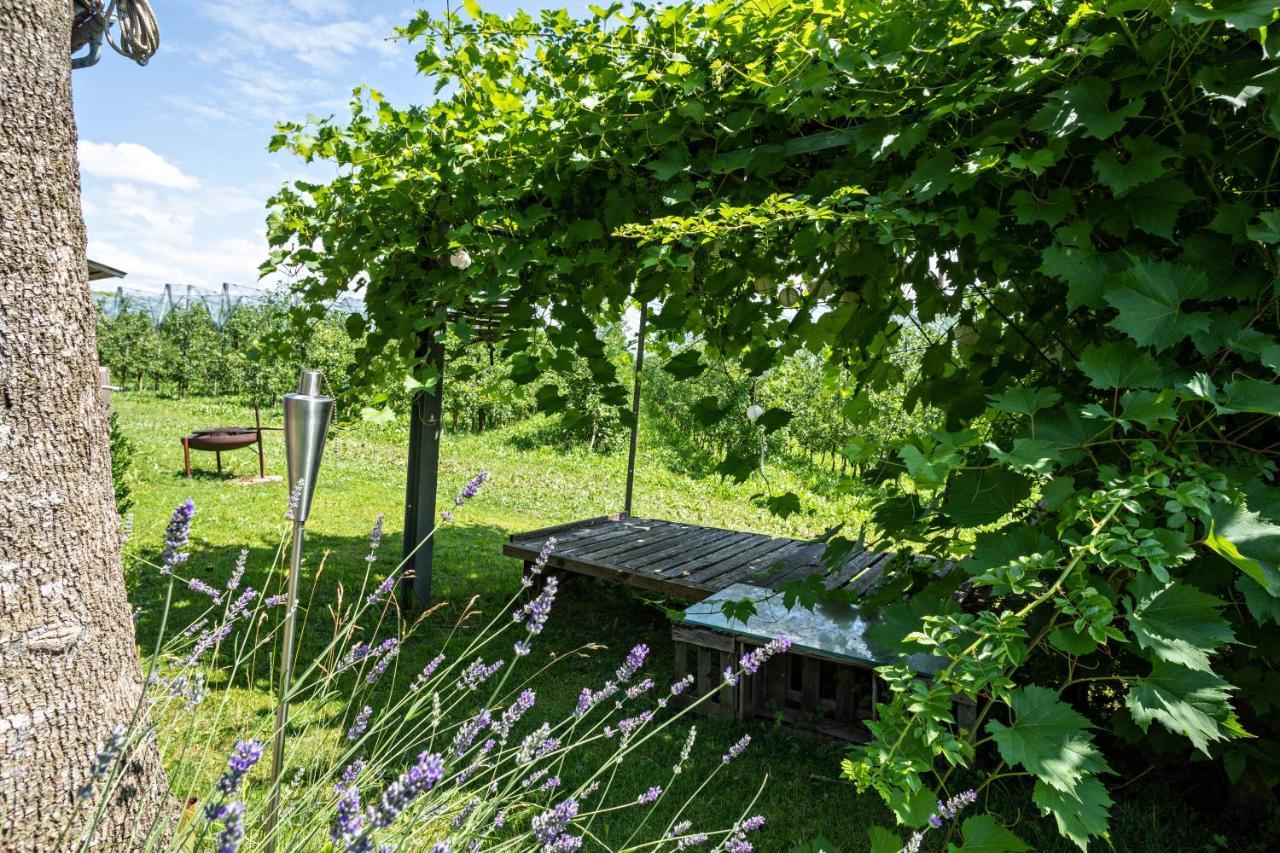 La Casa Nel Verde New Translation Exteriér fotografie